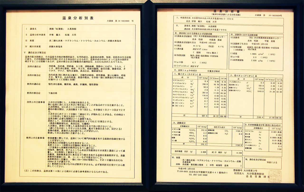 丸長旅館の温泉の分析表